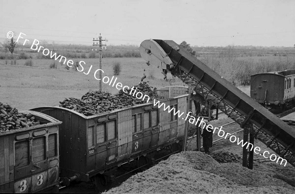 LOADING TURF TRAIN NEAR PORTARLINGTON